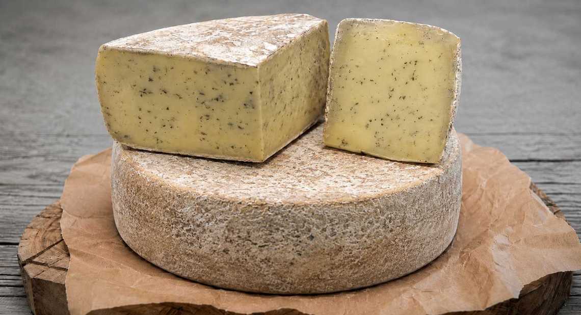 Tomme à l’ail des ours (La dent du chat)