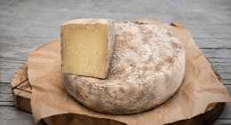 Tommette de Savoie