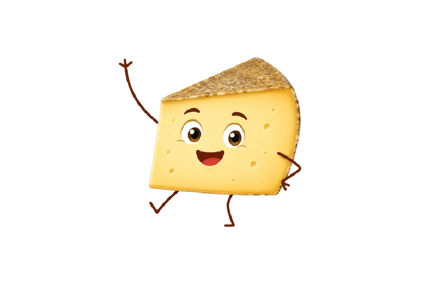Fromages de brebis